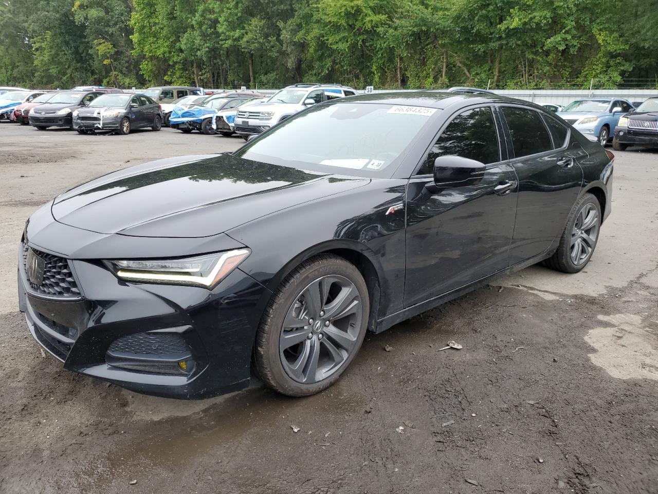 2022 Acura TLX
