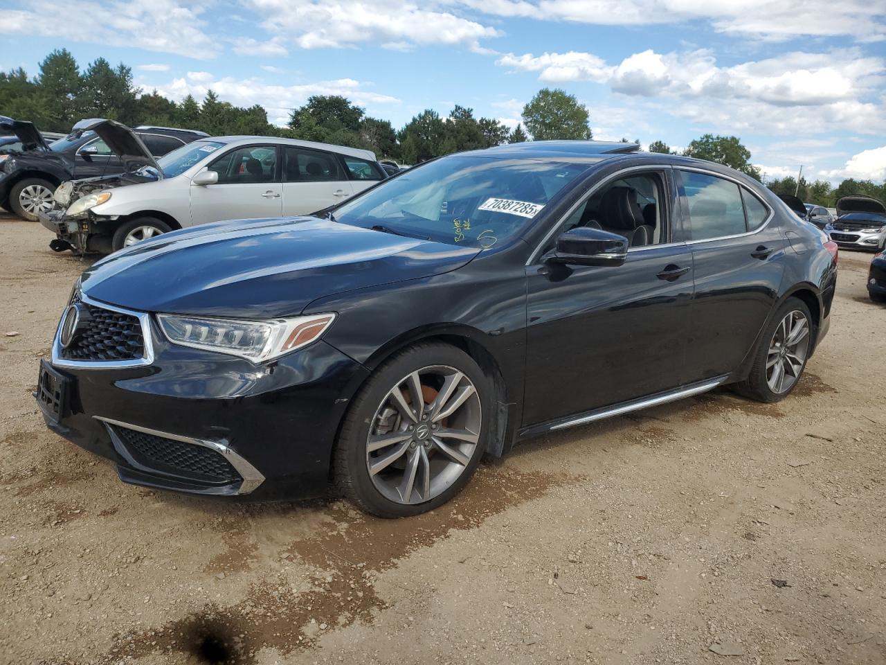 2019 Acura TLX