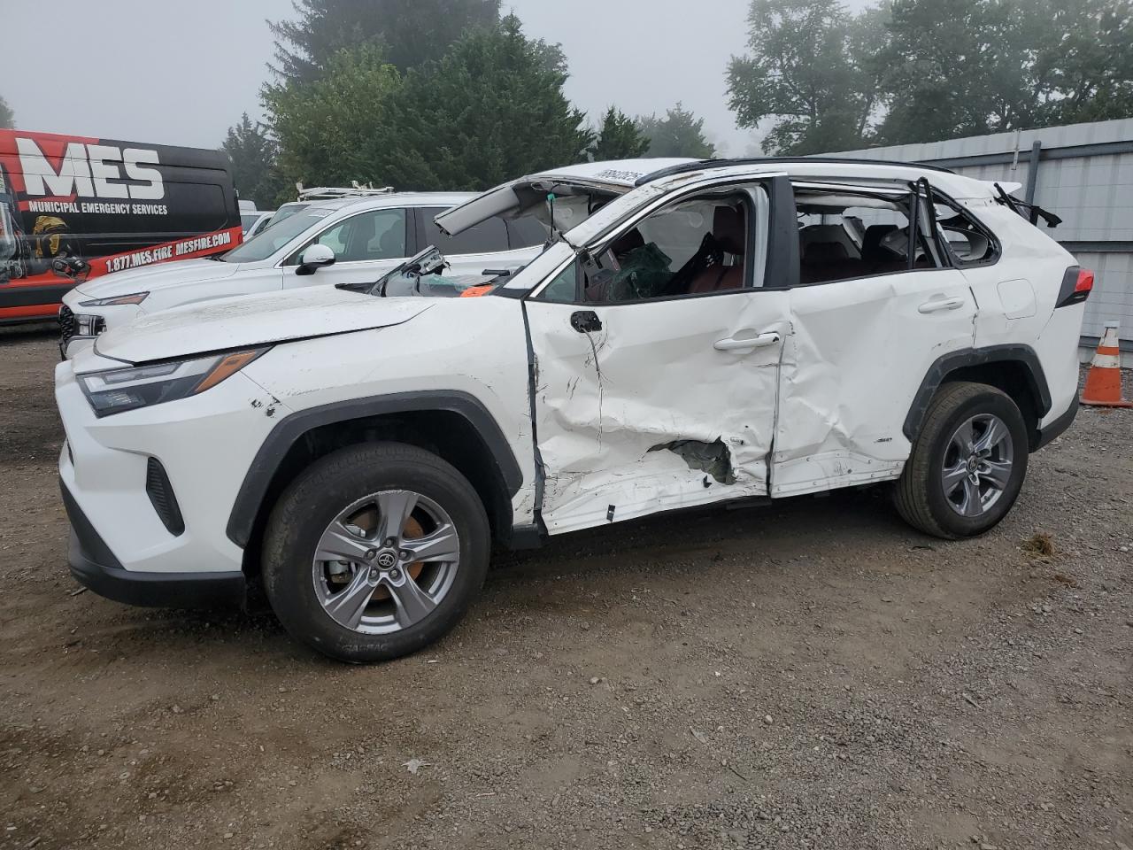 2024 Toyota Rav4 le LE