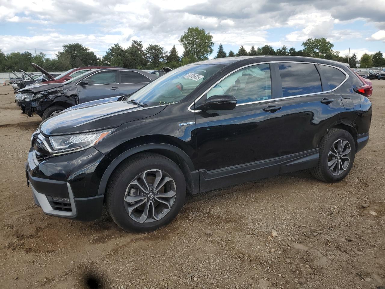 2022 Honda Cr-v exl EXL