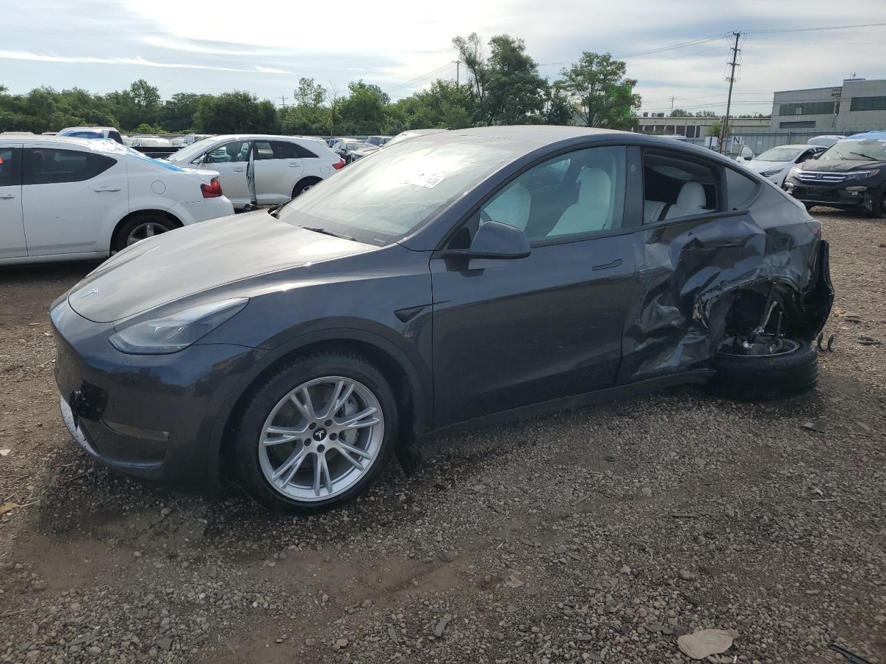 Tesla Model y
