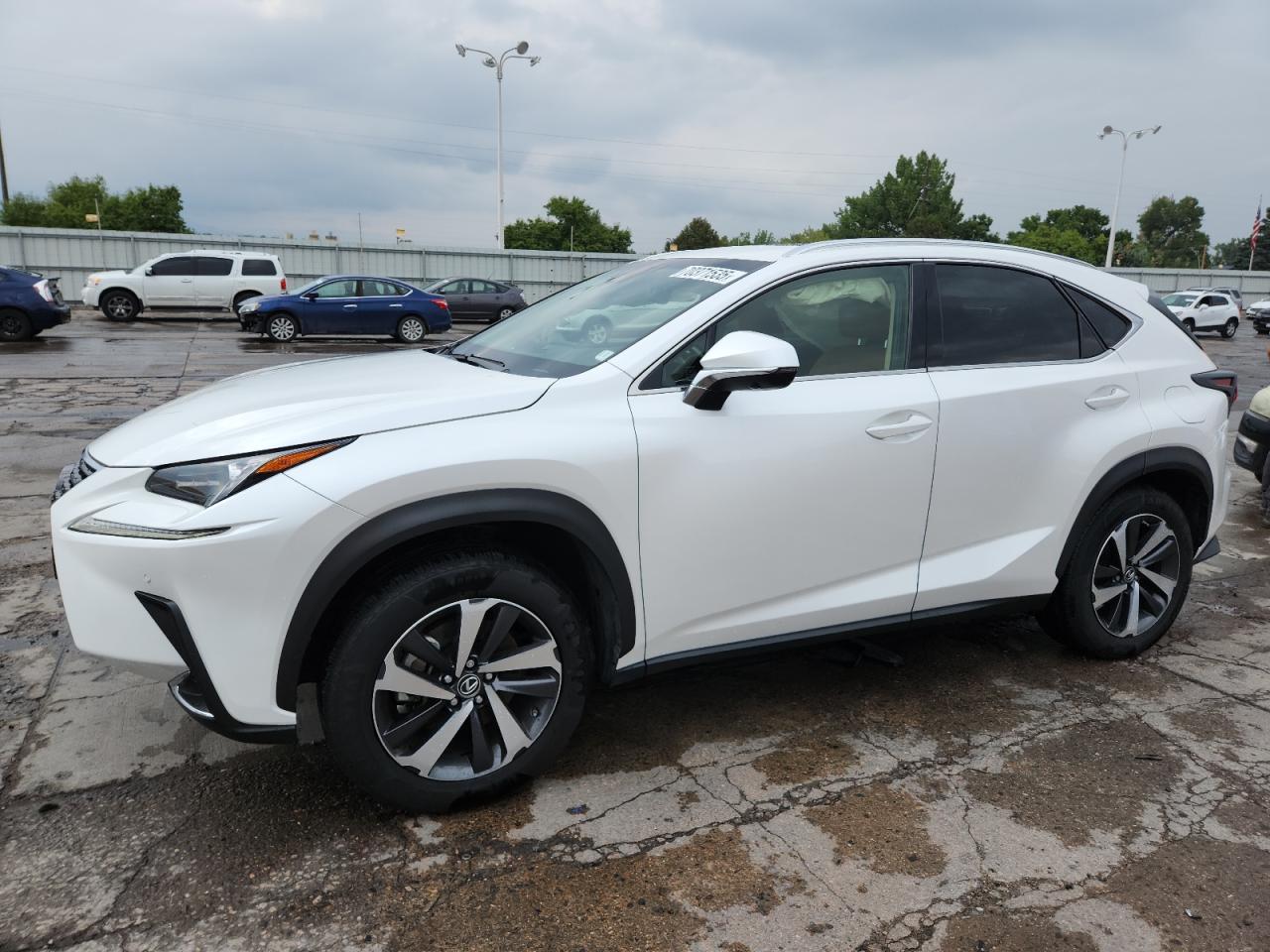 2019 Lexus Nx 300 bas 300 BASE
