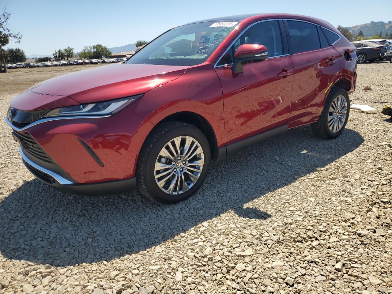 2024 Toyota Venza le LE