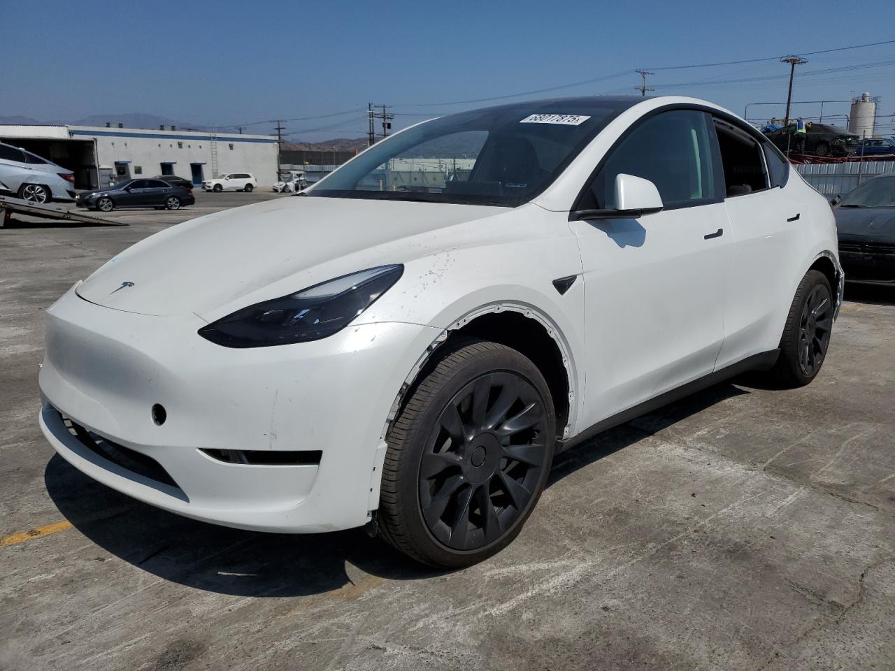 2024 Tesla Model y