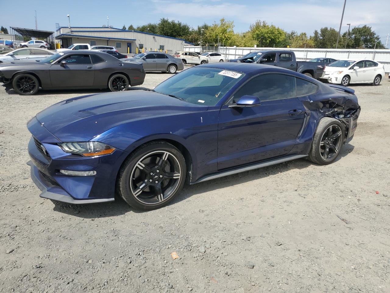 2019 Ford Mustang gt GT