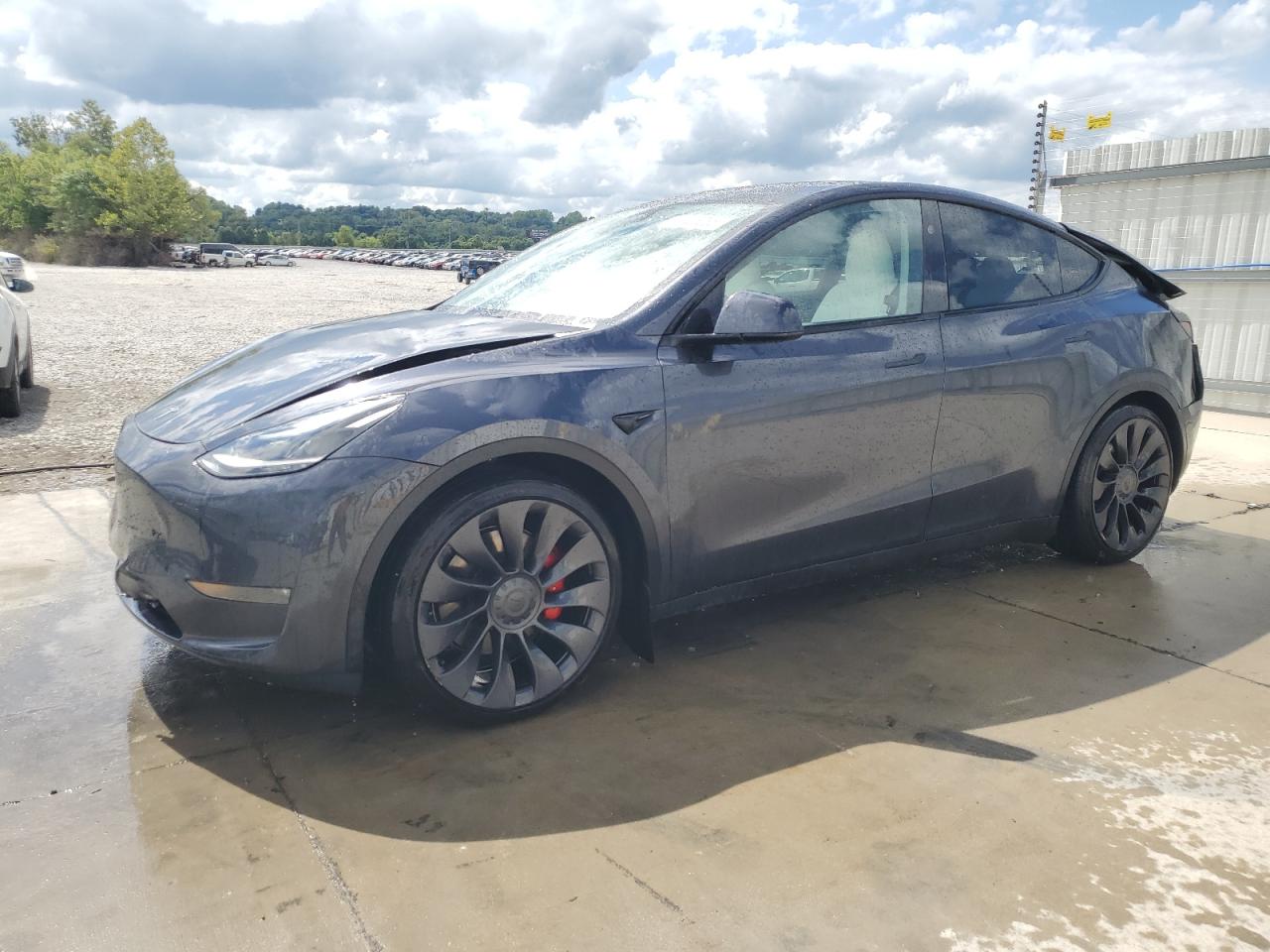 2024 Tesla Model y
