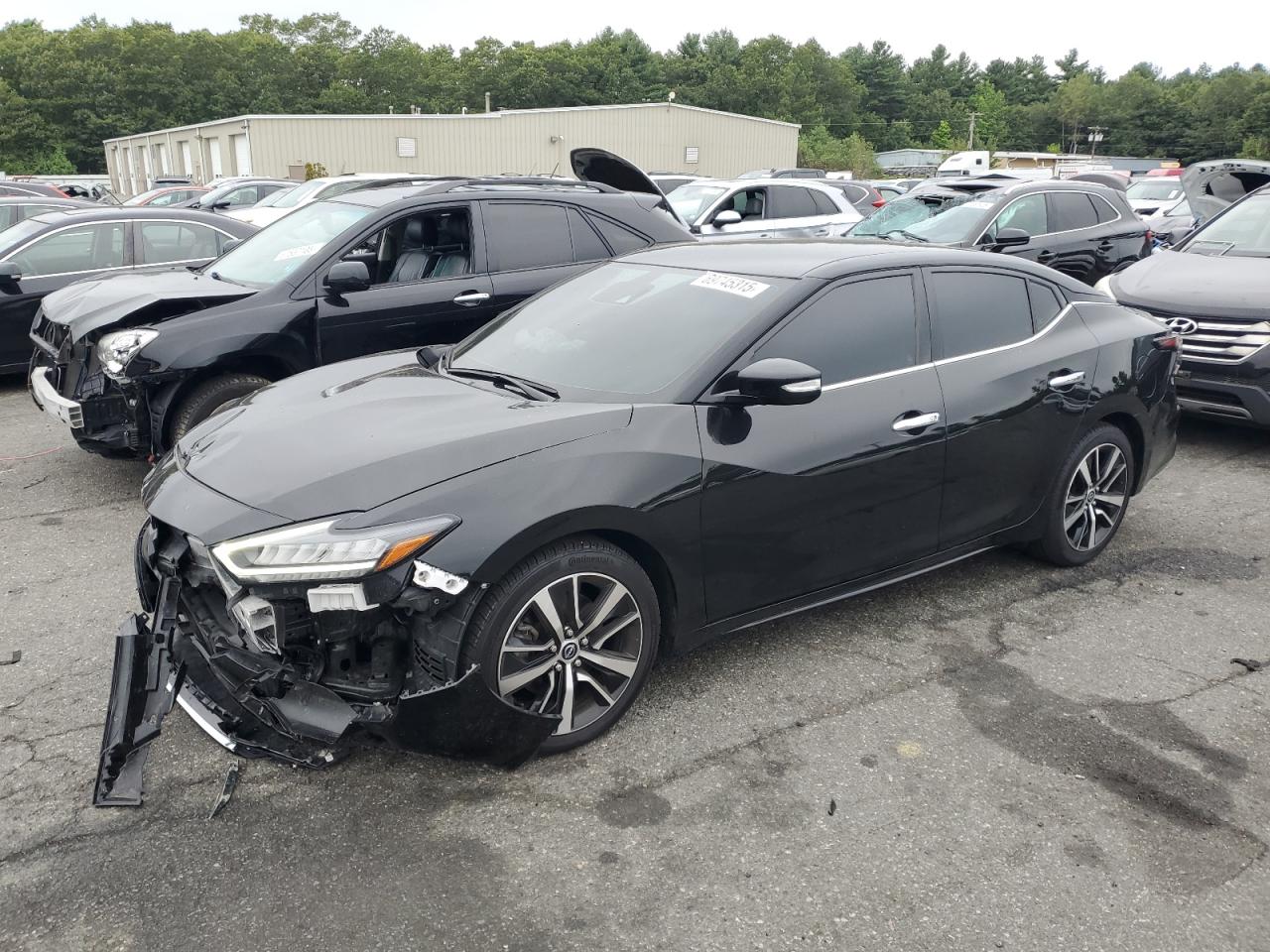 2023 Nissan Maxima sv SV