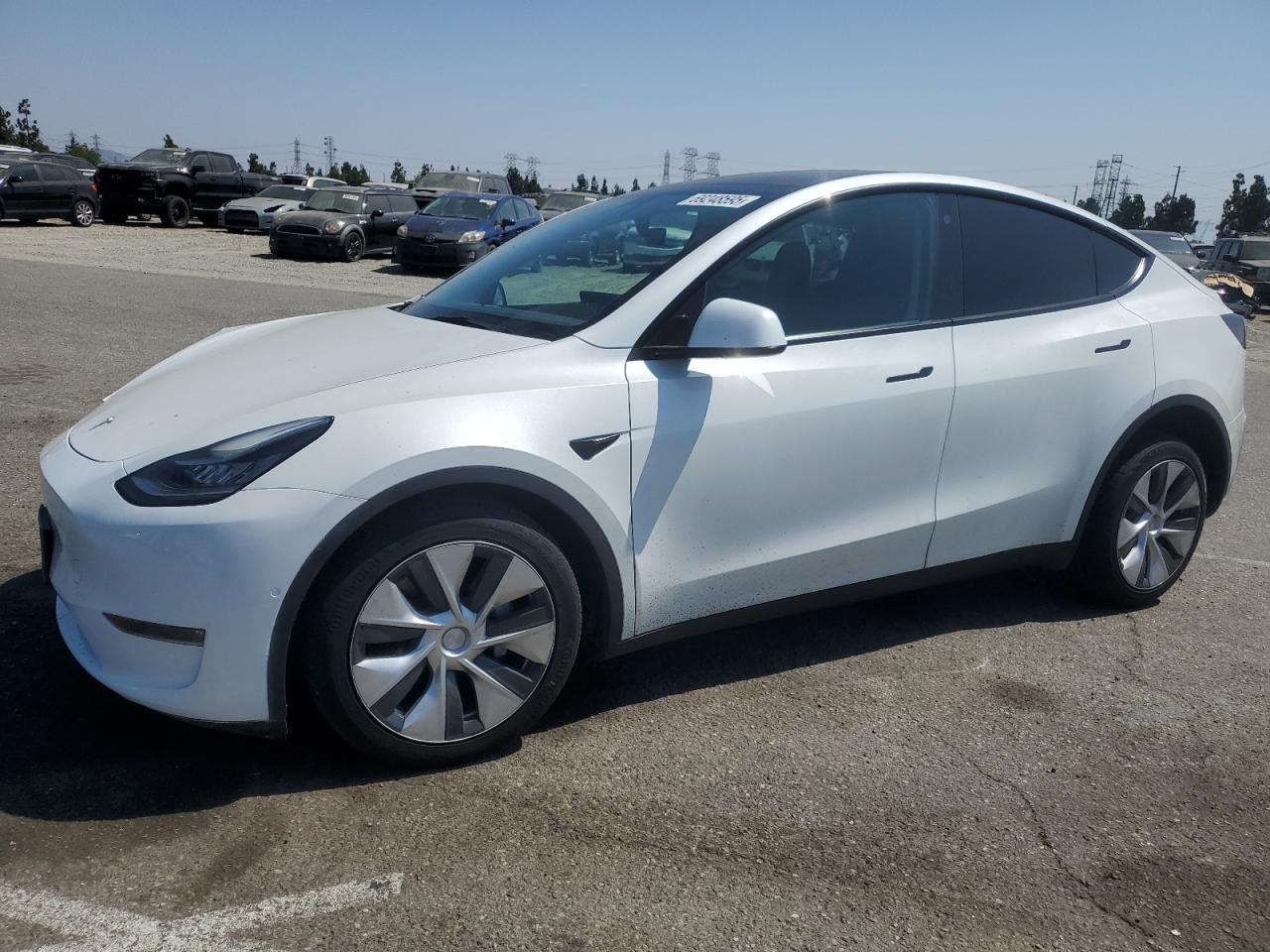 Tesla Model y