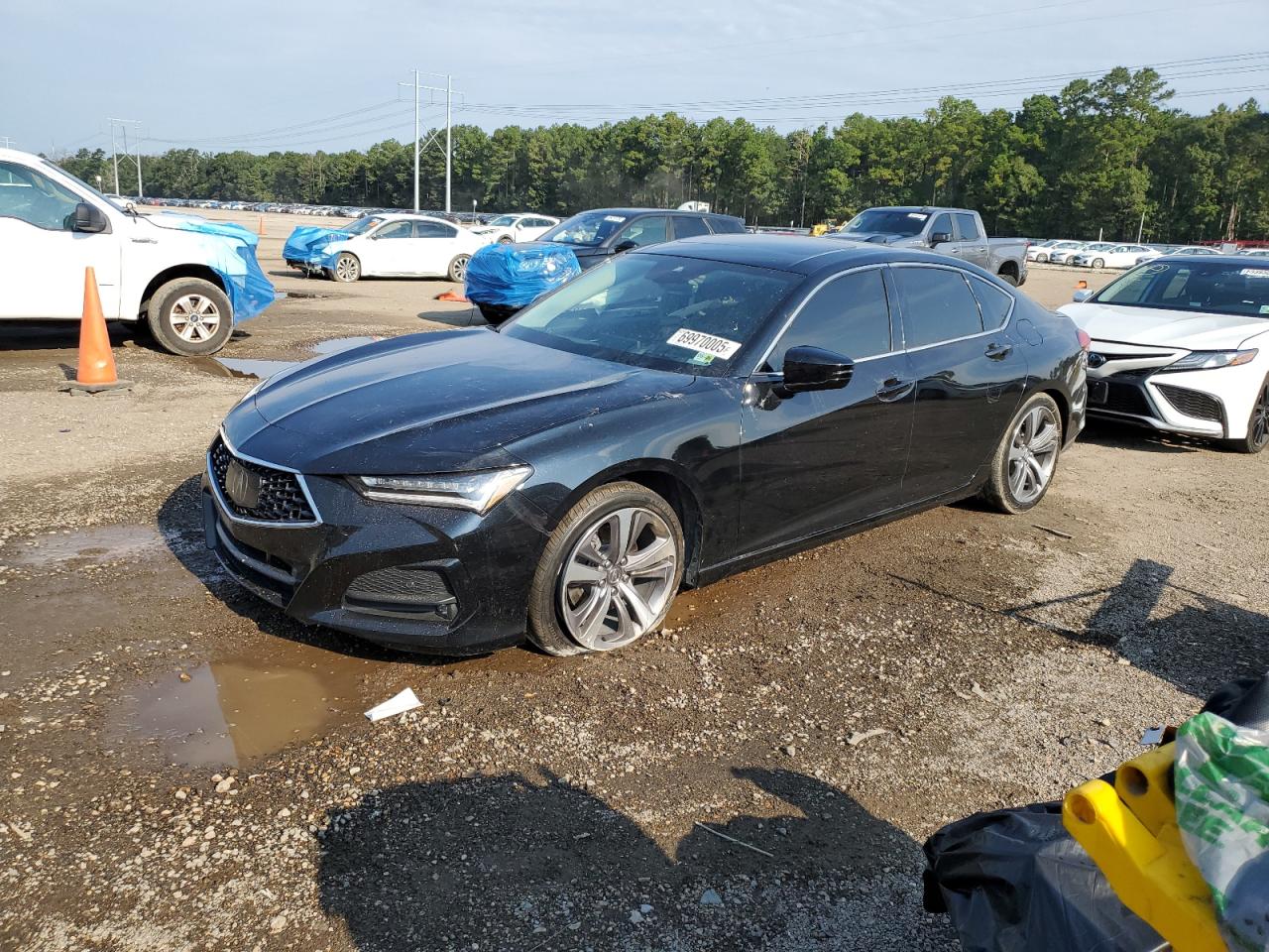 2021 Acura TLX