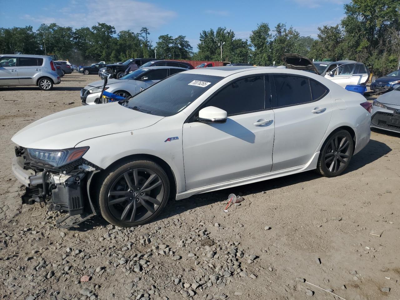 2019 Acura TLX