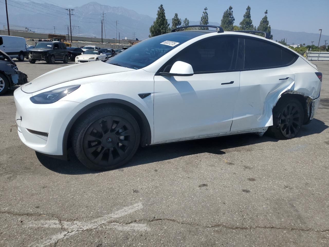 2024 Tesla Model y
