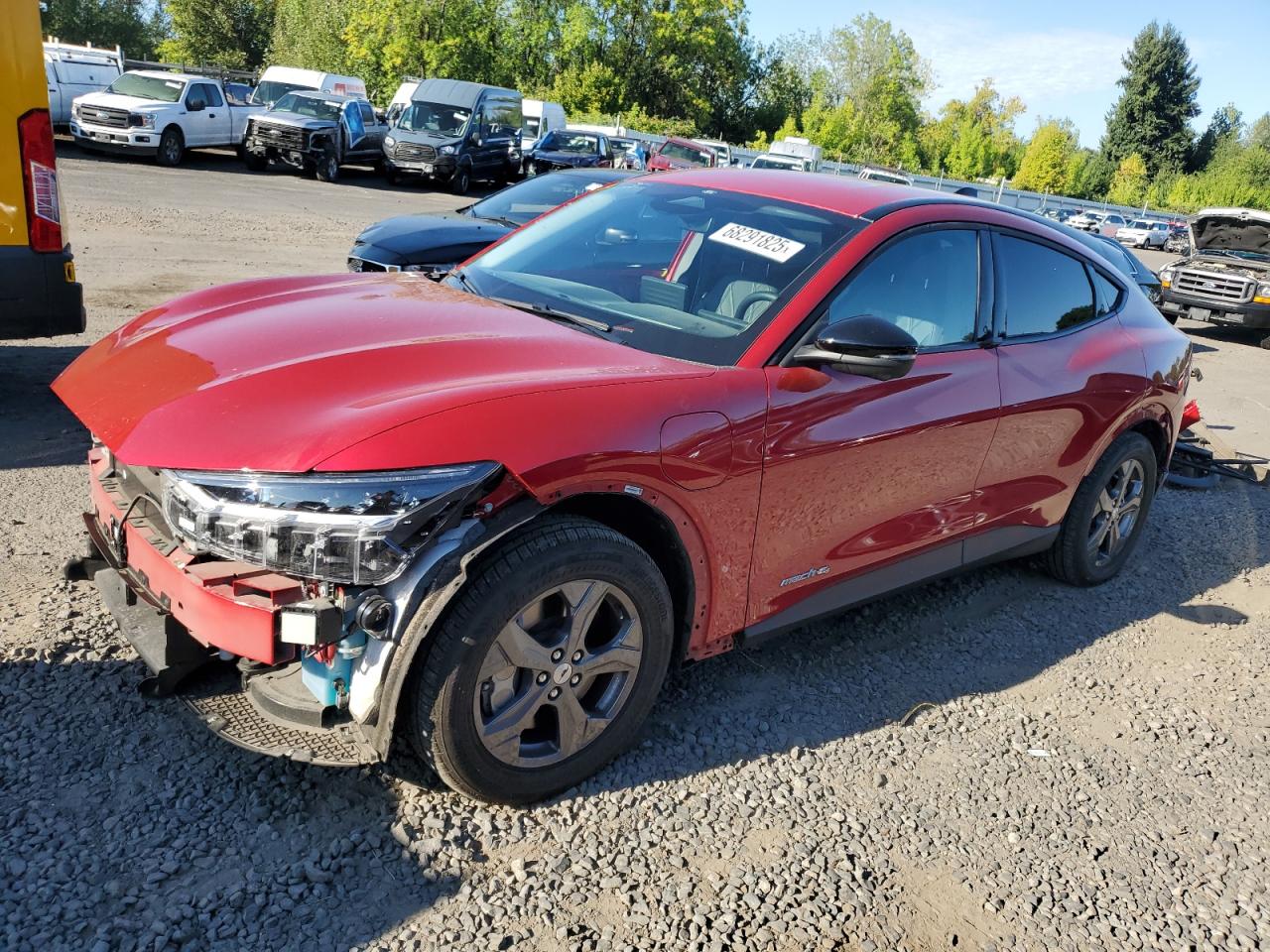 2023 Ford Mustang ma SELECT