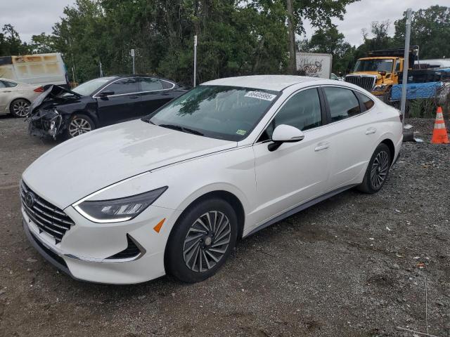 2022 Hyundai Sonata hyb HYBRID
