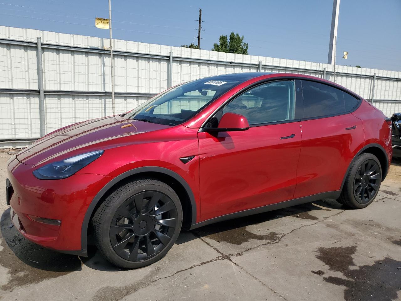 2025 Tesla Model y