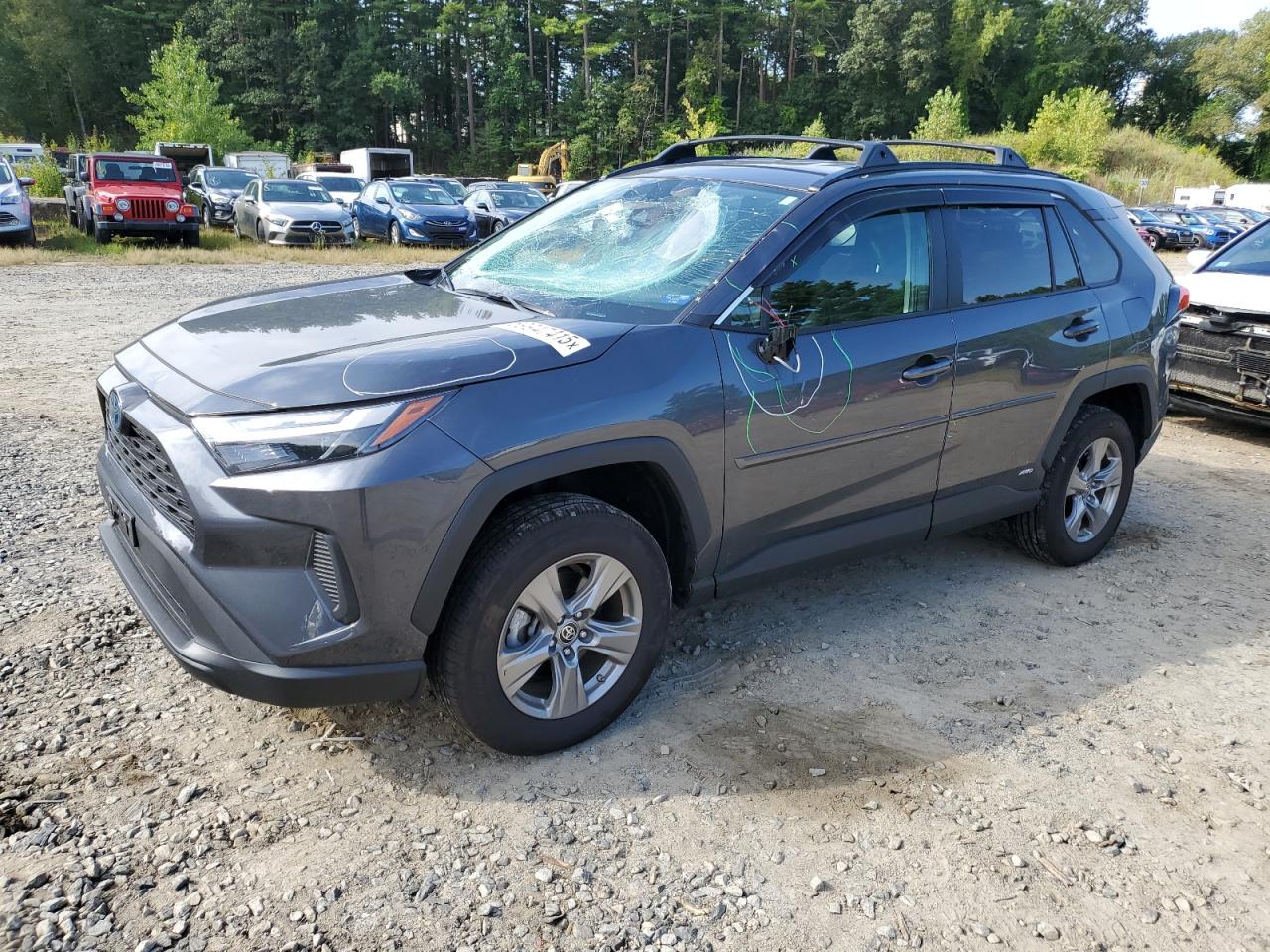 2024 Toyota Rav4 le LE