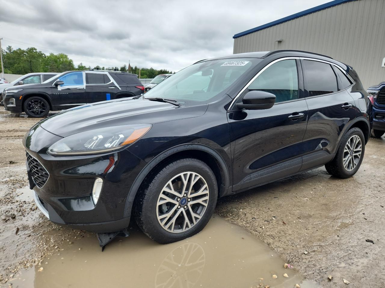 2021 Ford Escape sel SEL