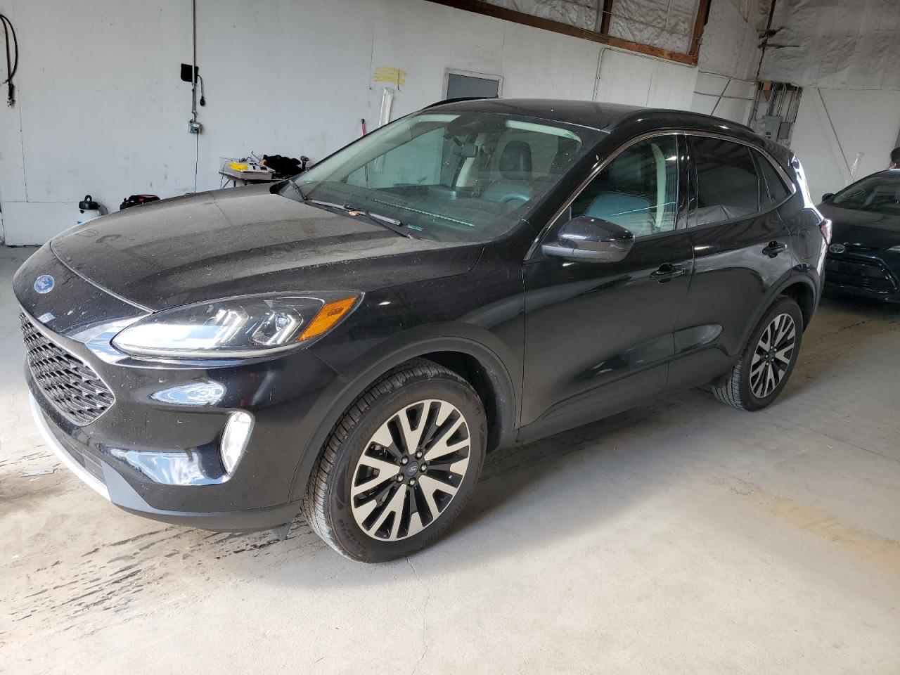 2020 Ford Escape sel SEL