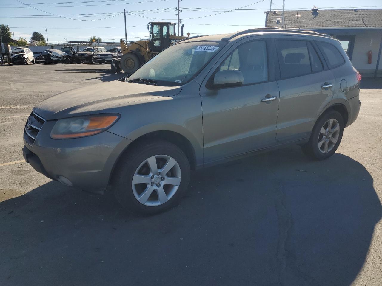 2009 Hyundai Santa fe Se