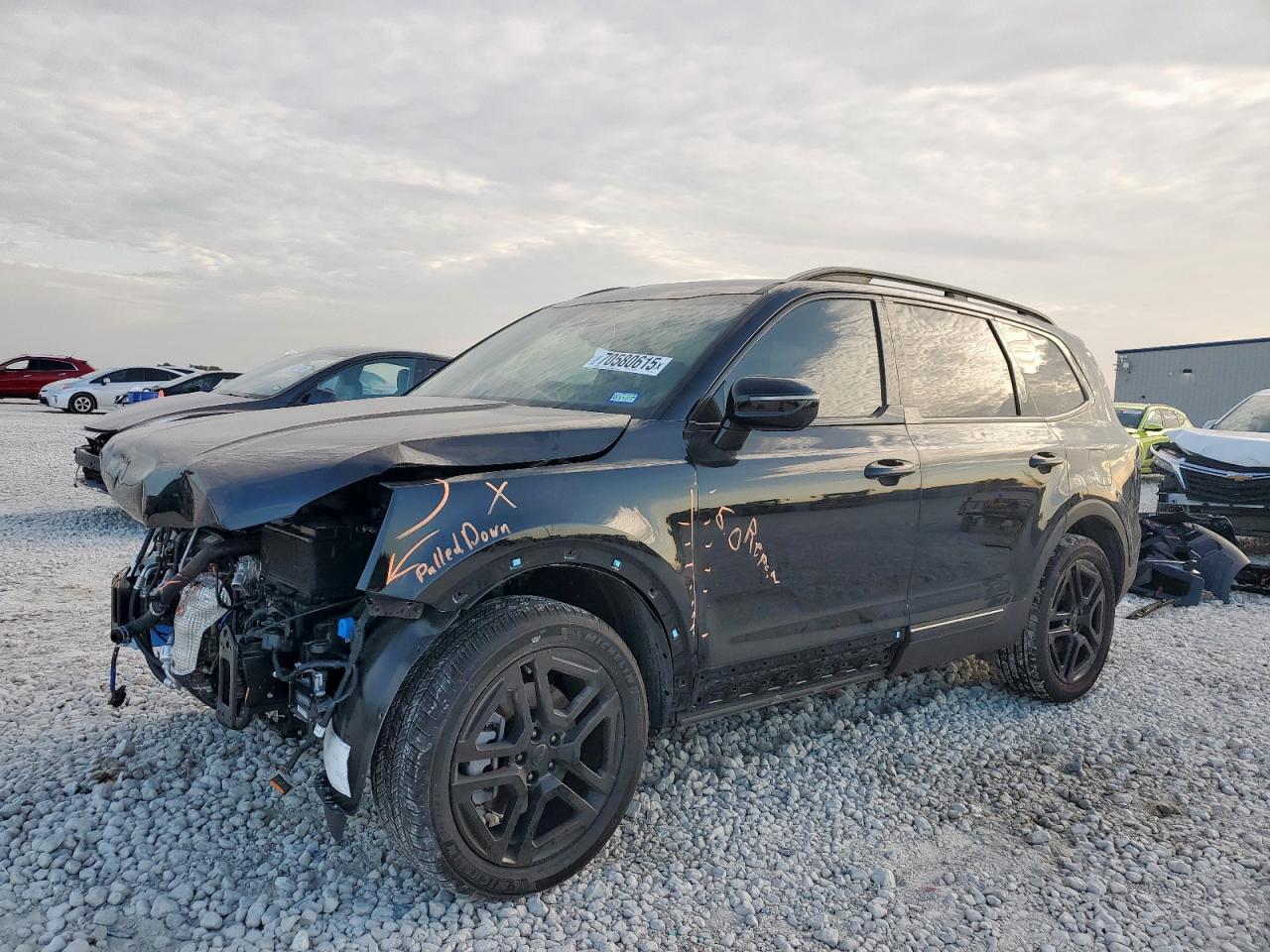 2025 Kia Telluride