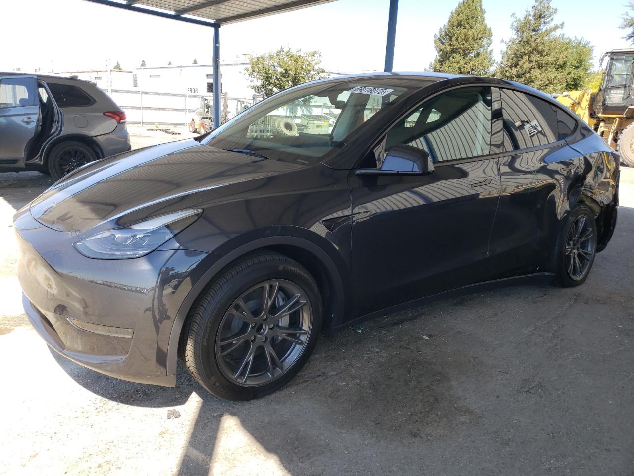 2025 Tesla Model y