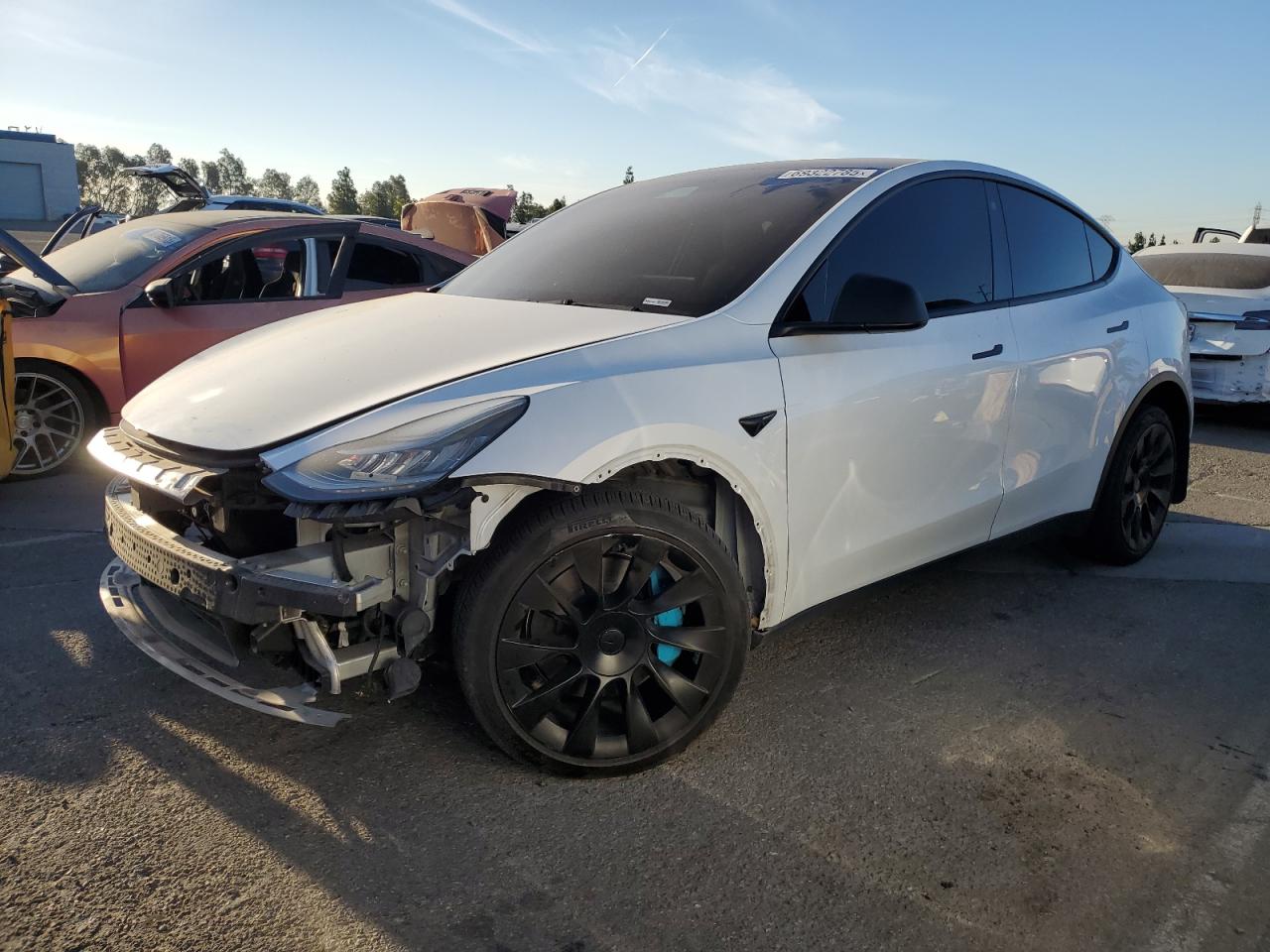2021 Tesla Model y