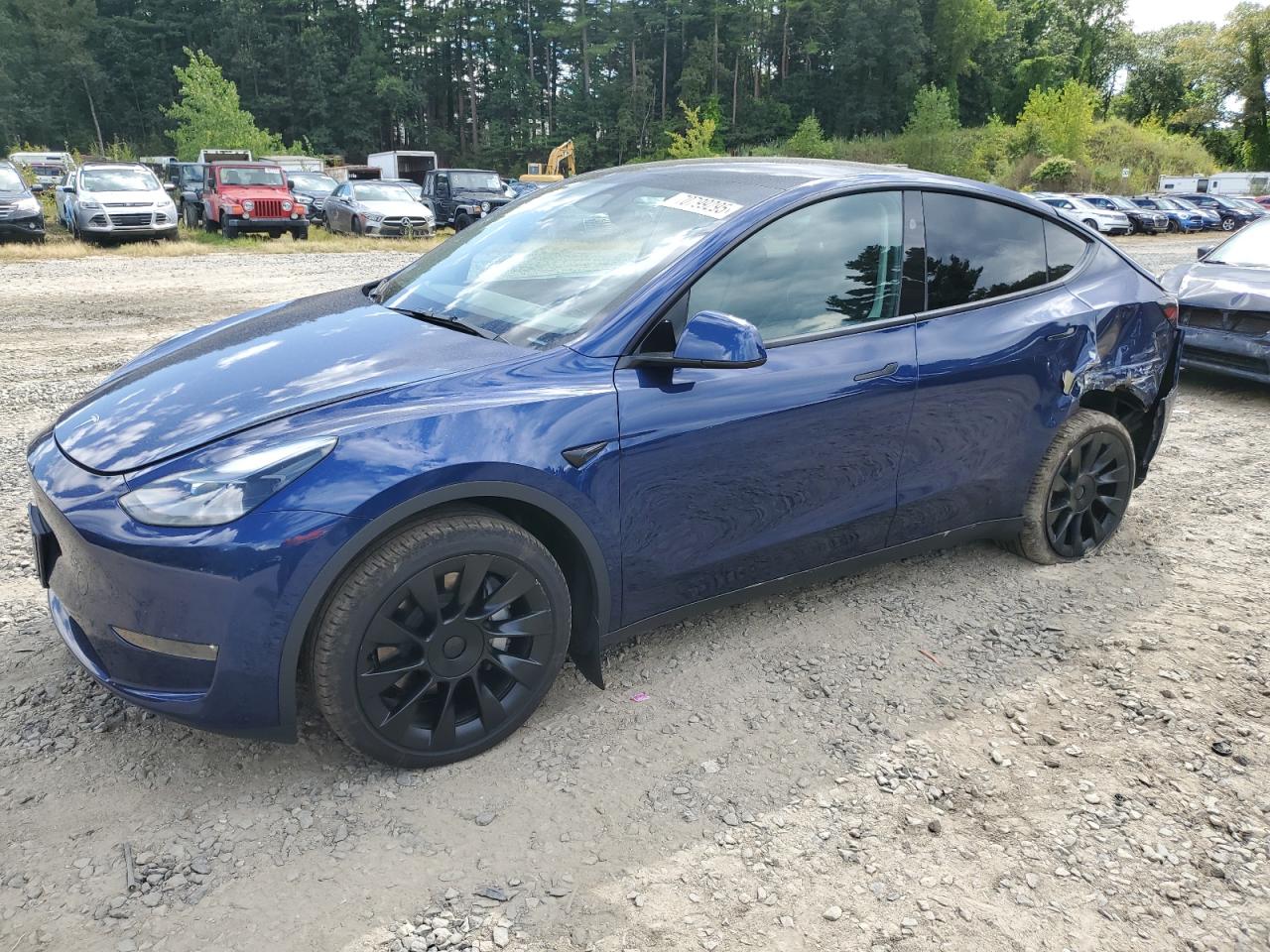 2024 Tesla Model y