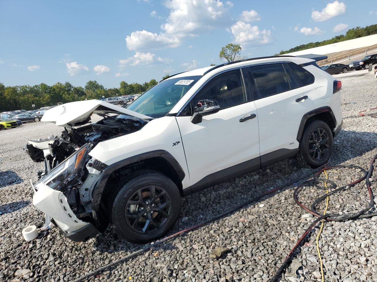 2024 Toyota Rav4 xle XLE