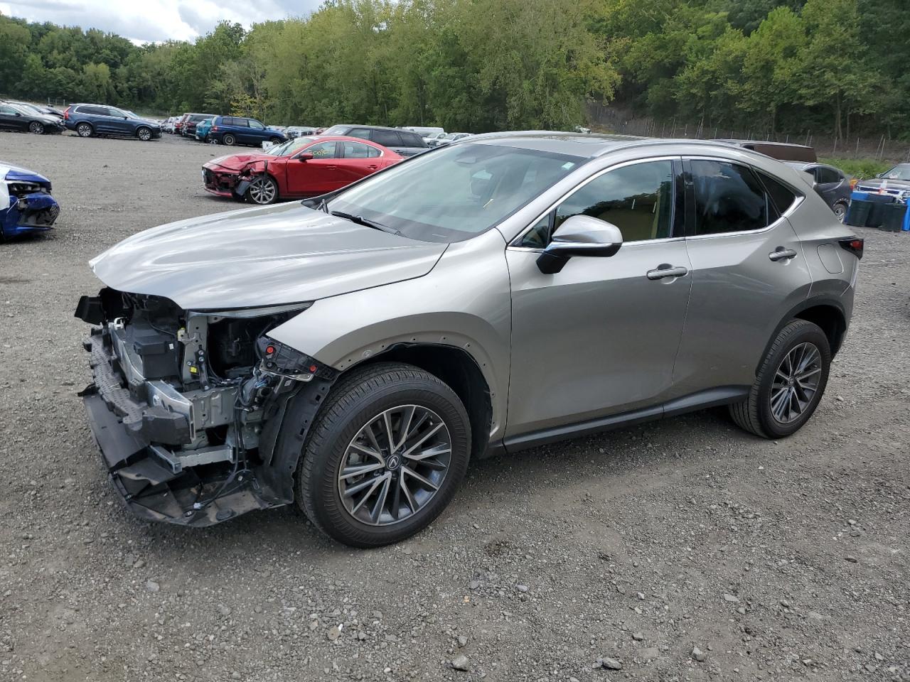 2024 Lexus Nx 250 pre 250 PREMIUM