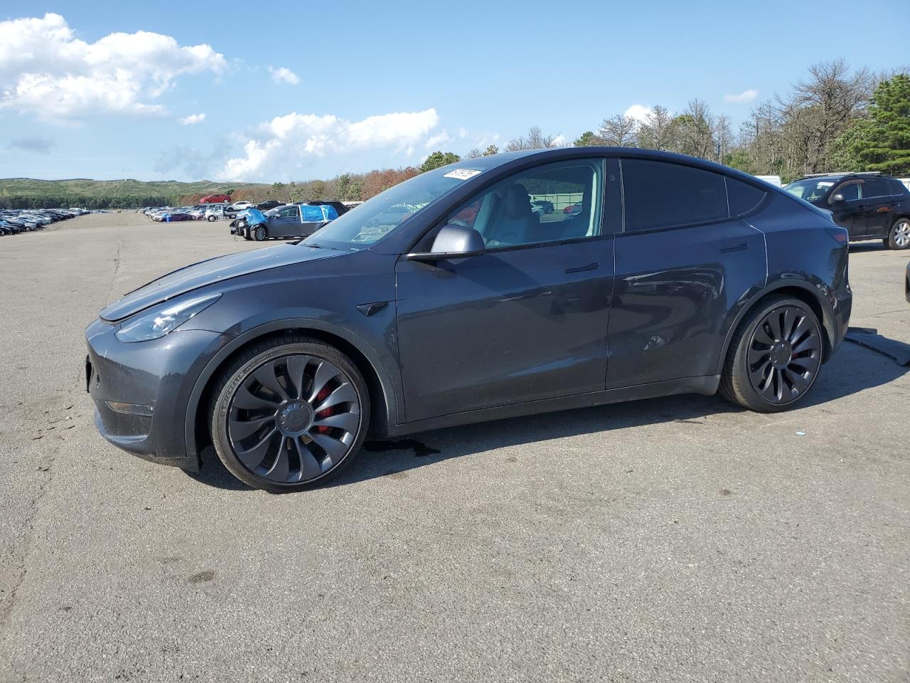 2024 Tesla Model y