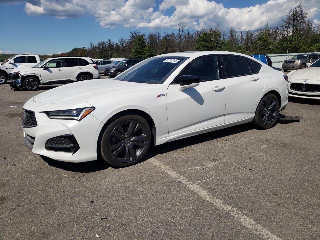 2022 Acura TLX