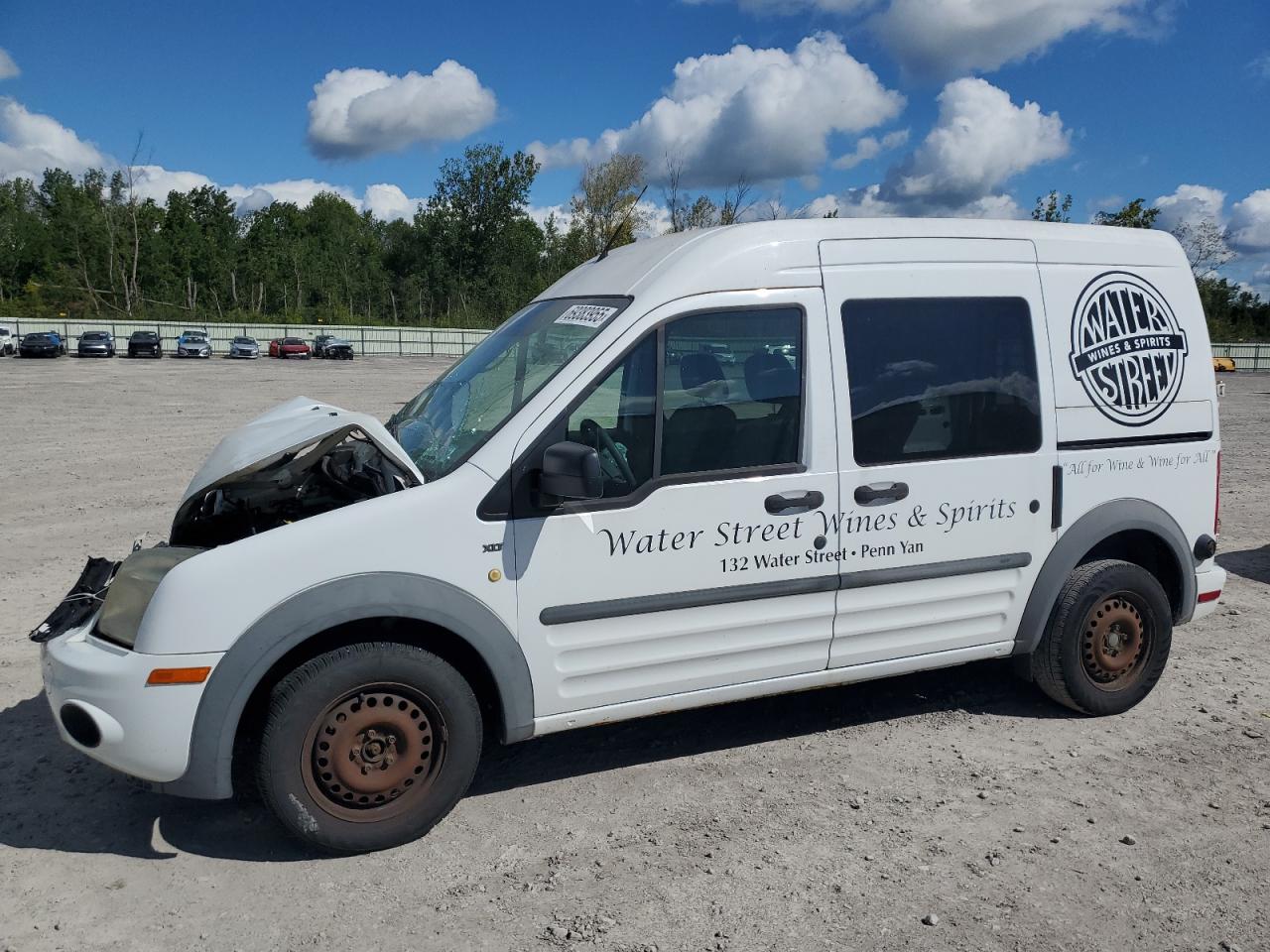 2012 Ford Transit connect xlt XLT