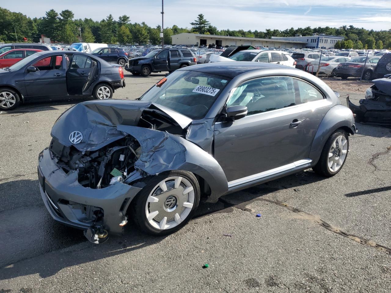 Volkswagen Beetle