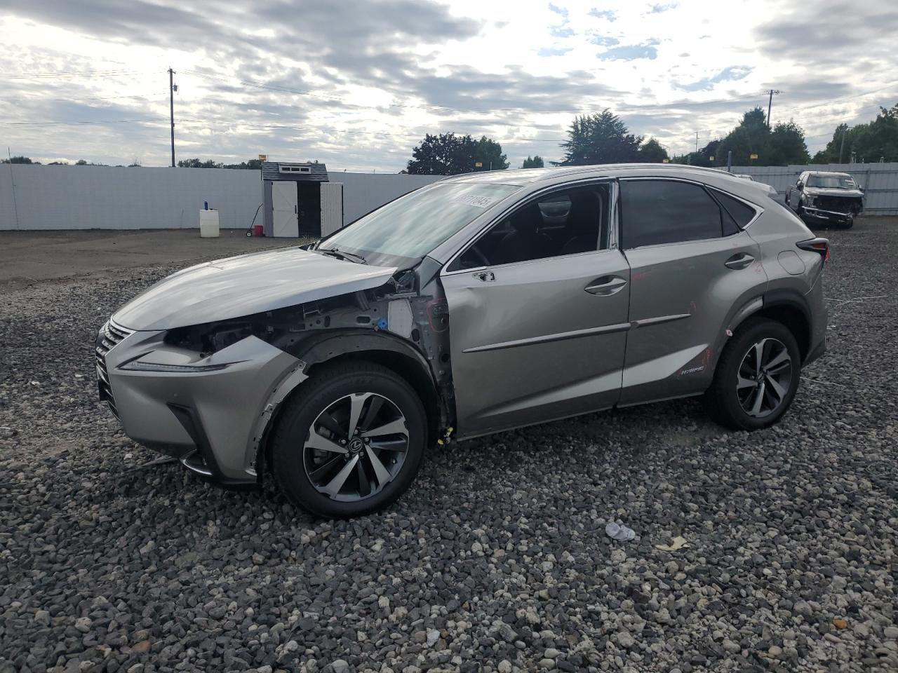 2021 Lexus Nx 300h ba