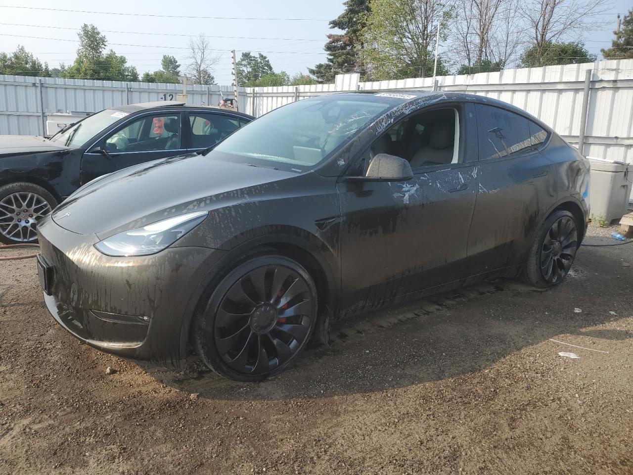 2022 Tesla Model y