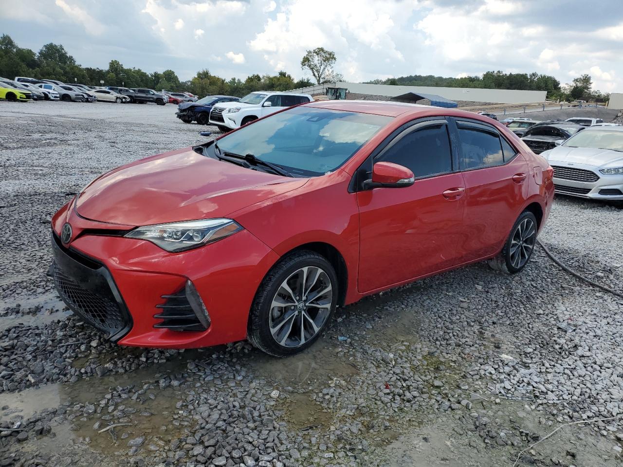 2019 Toyota Corolla l L