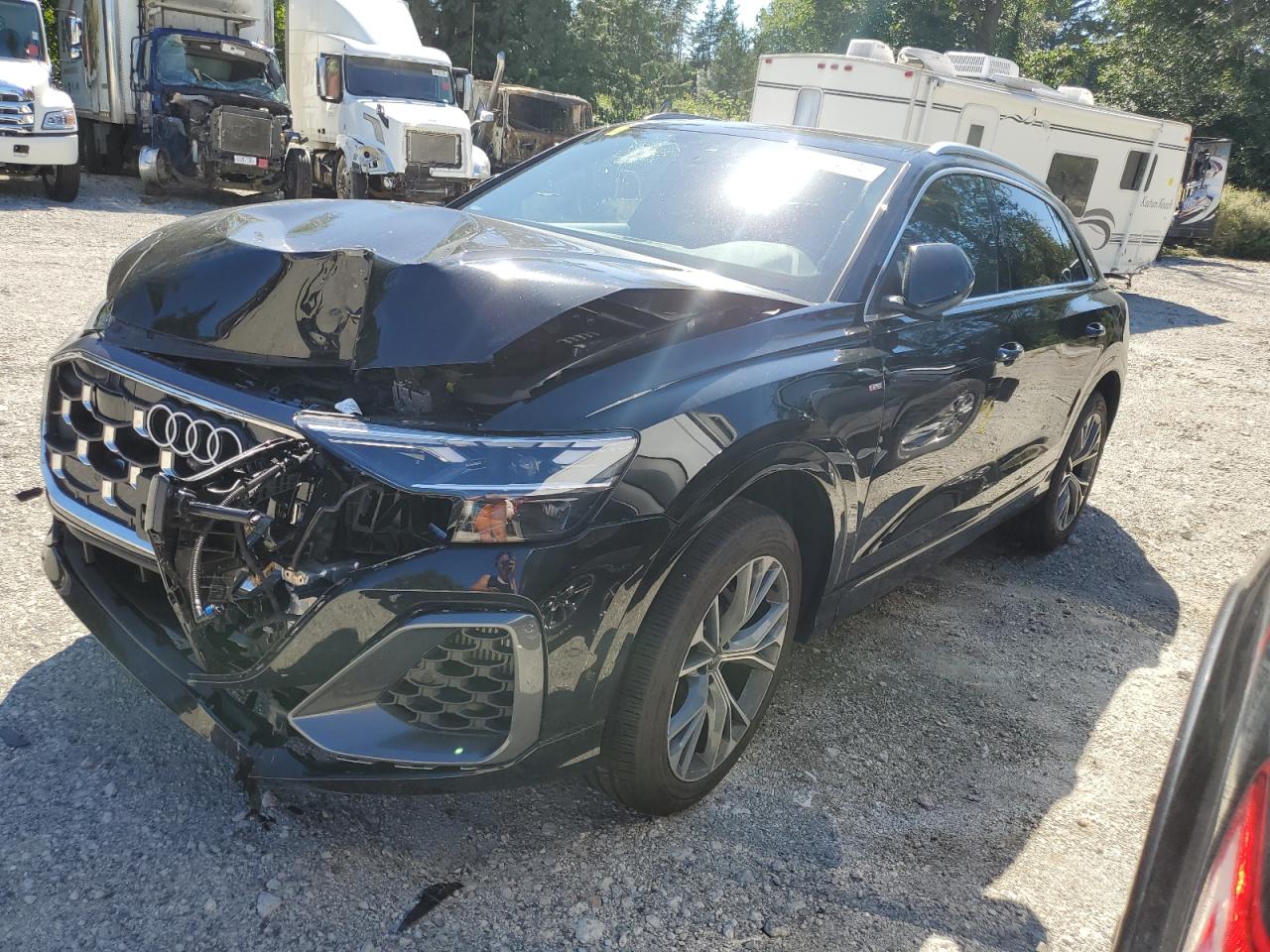 2025 Audi Q8