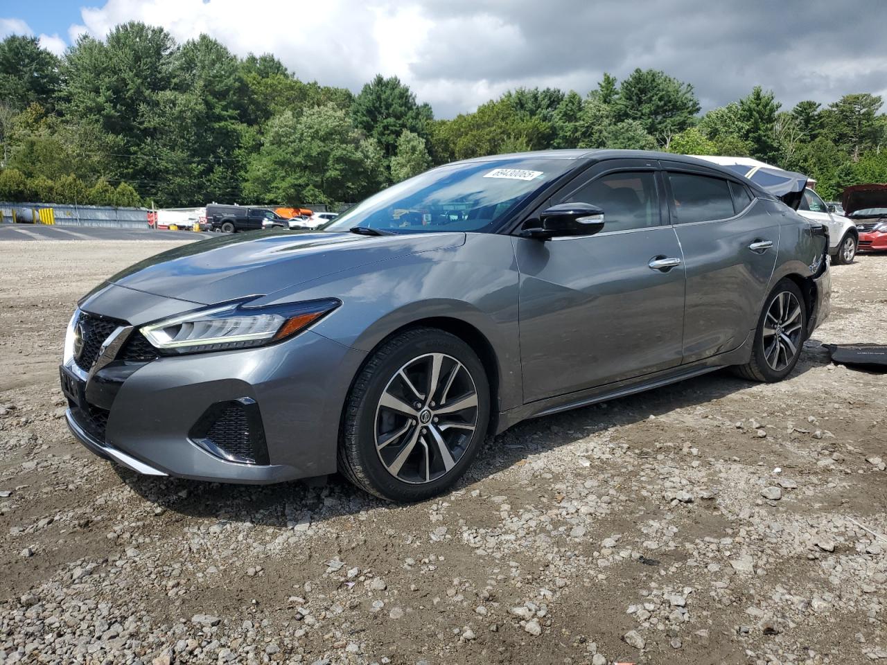 2021 Nissan Maxima sv SV