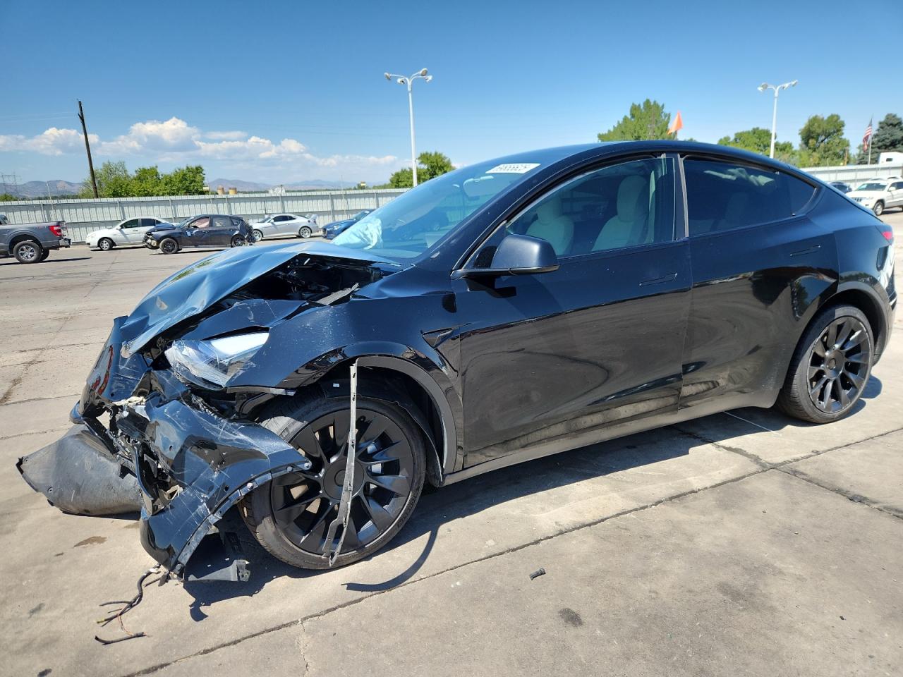 2021 Tesla Model y
