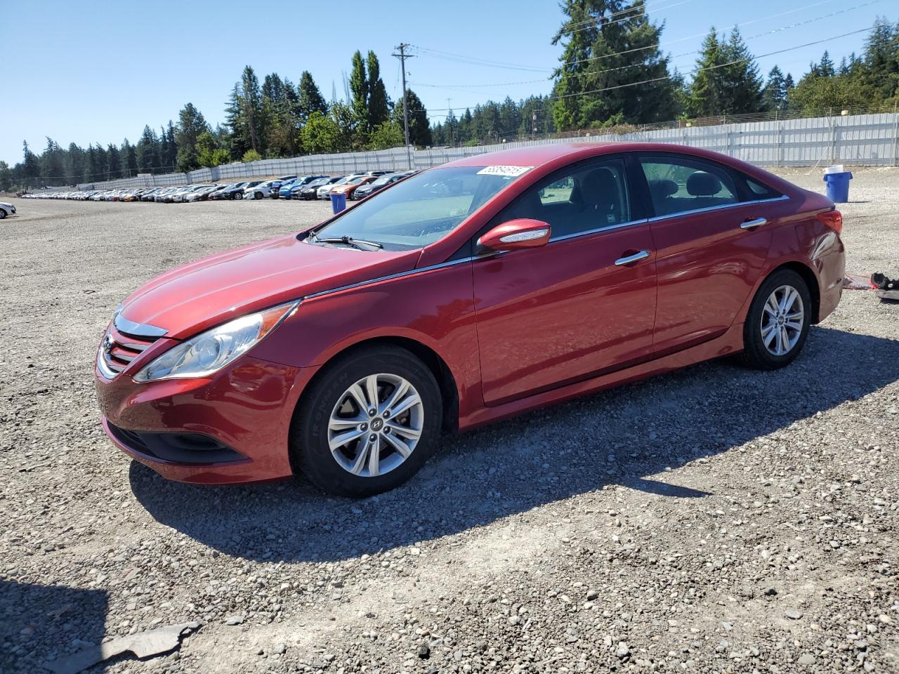 2014 Hyundai Sonata gls GLS