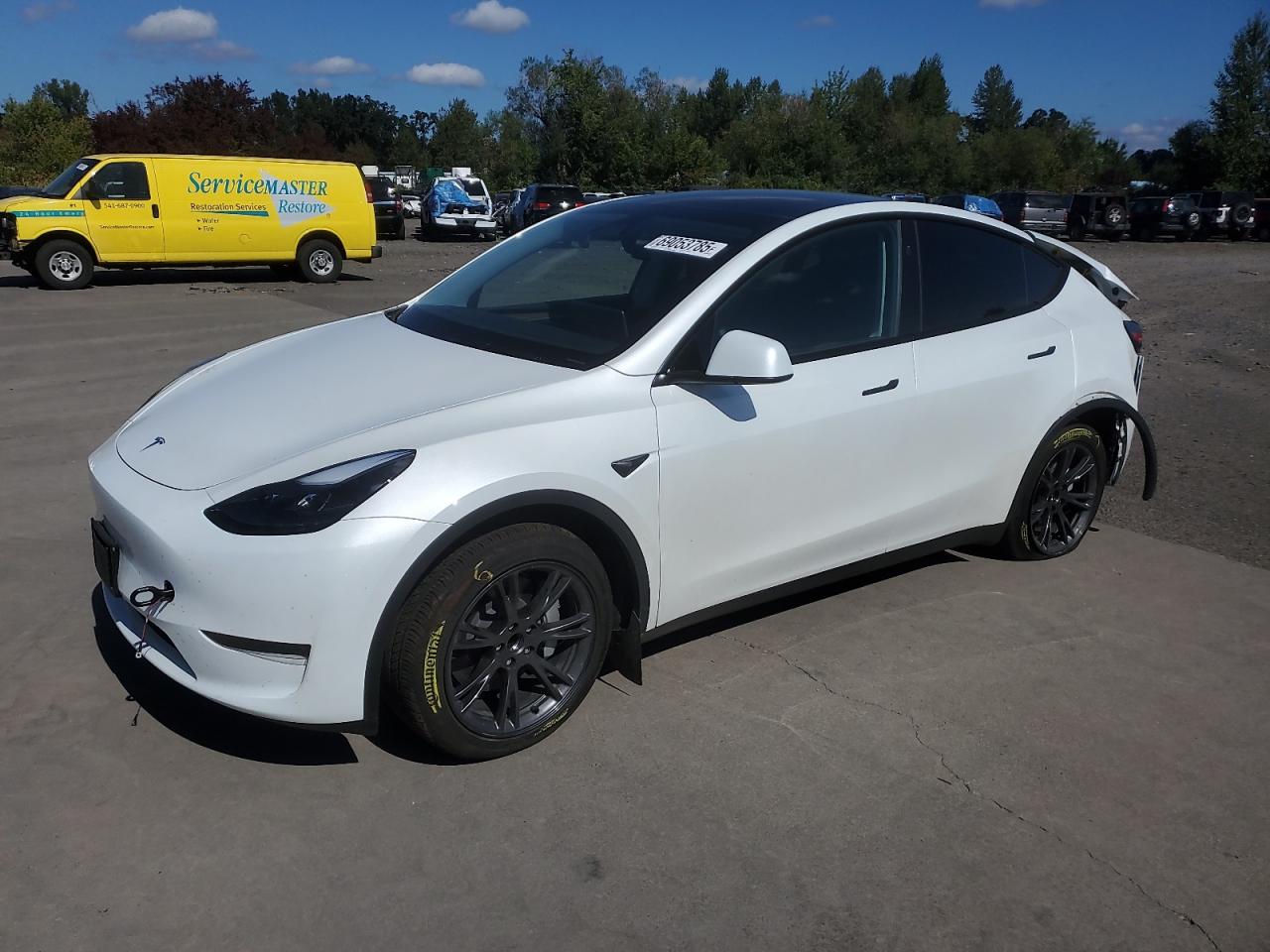 2025 Tesla Model y
