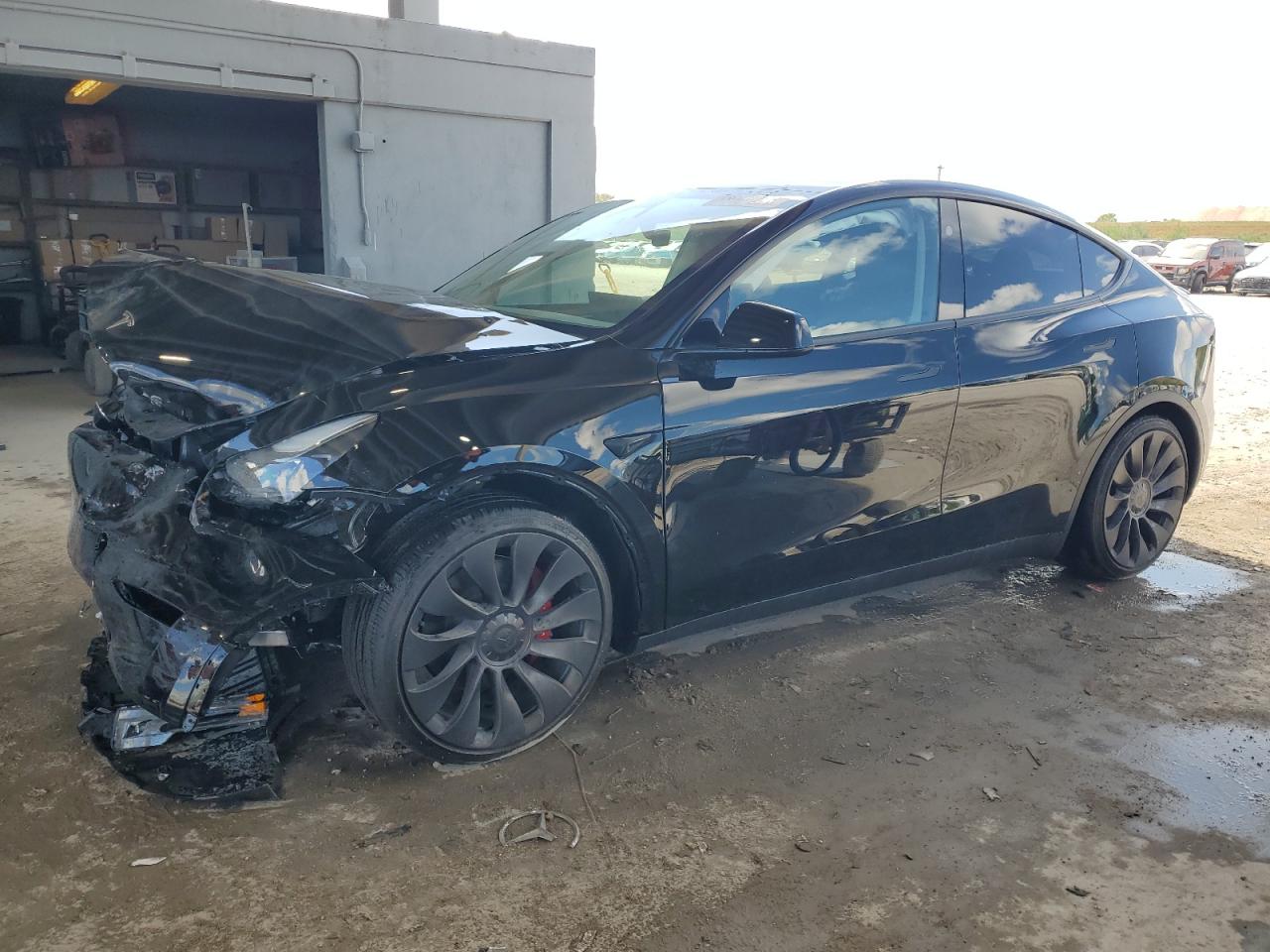 2025 Tesla Model y