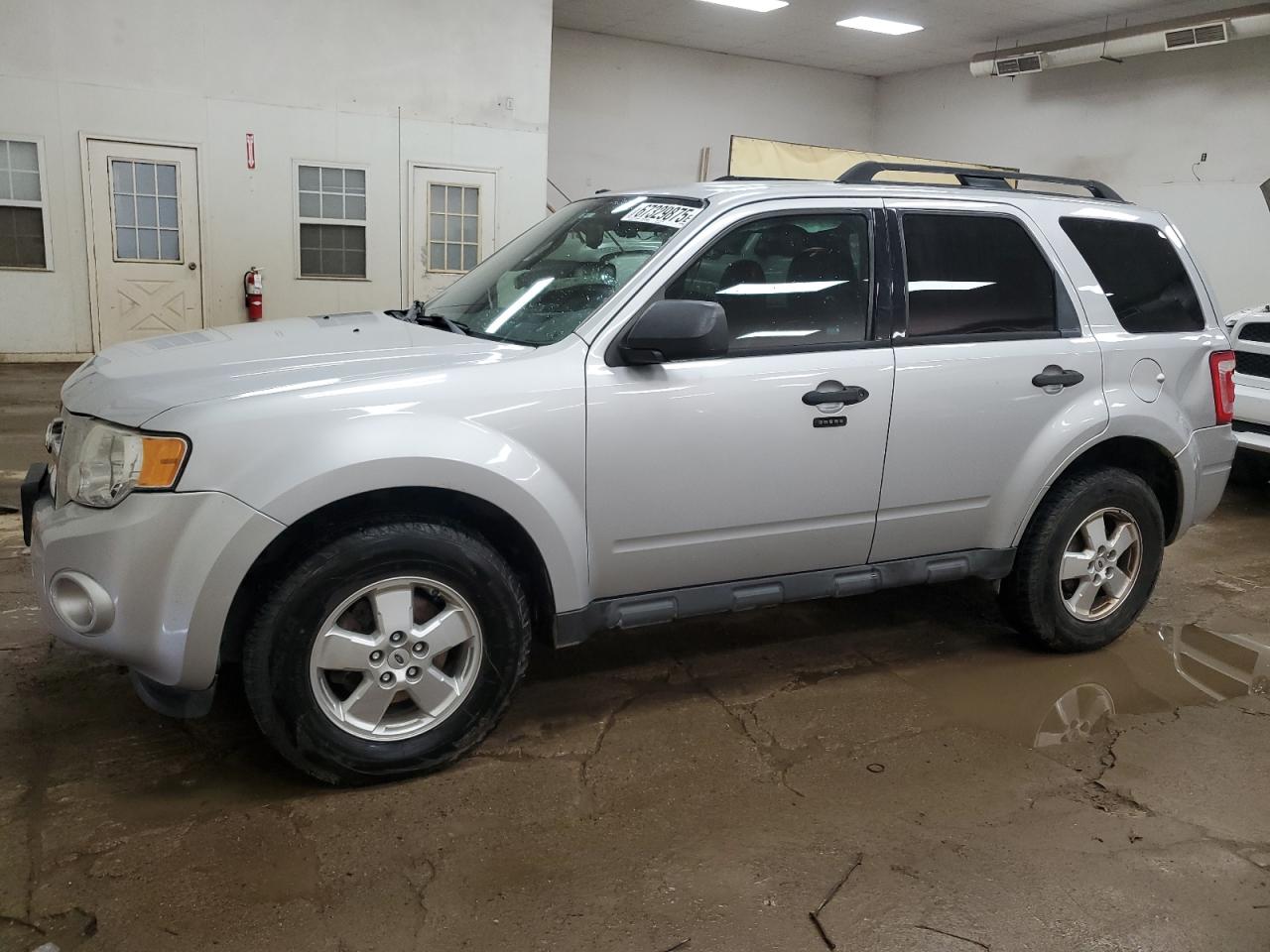2012 Ford Escape xlt XLT