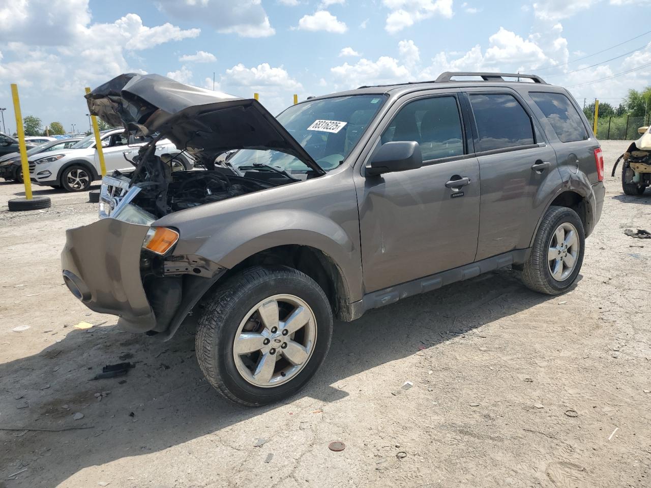 2012 Ford Escape xlt XLT