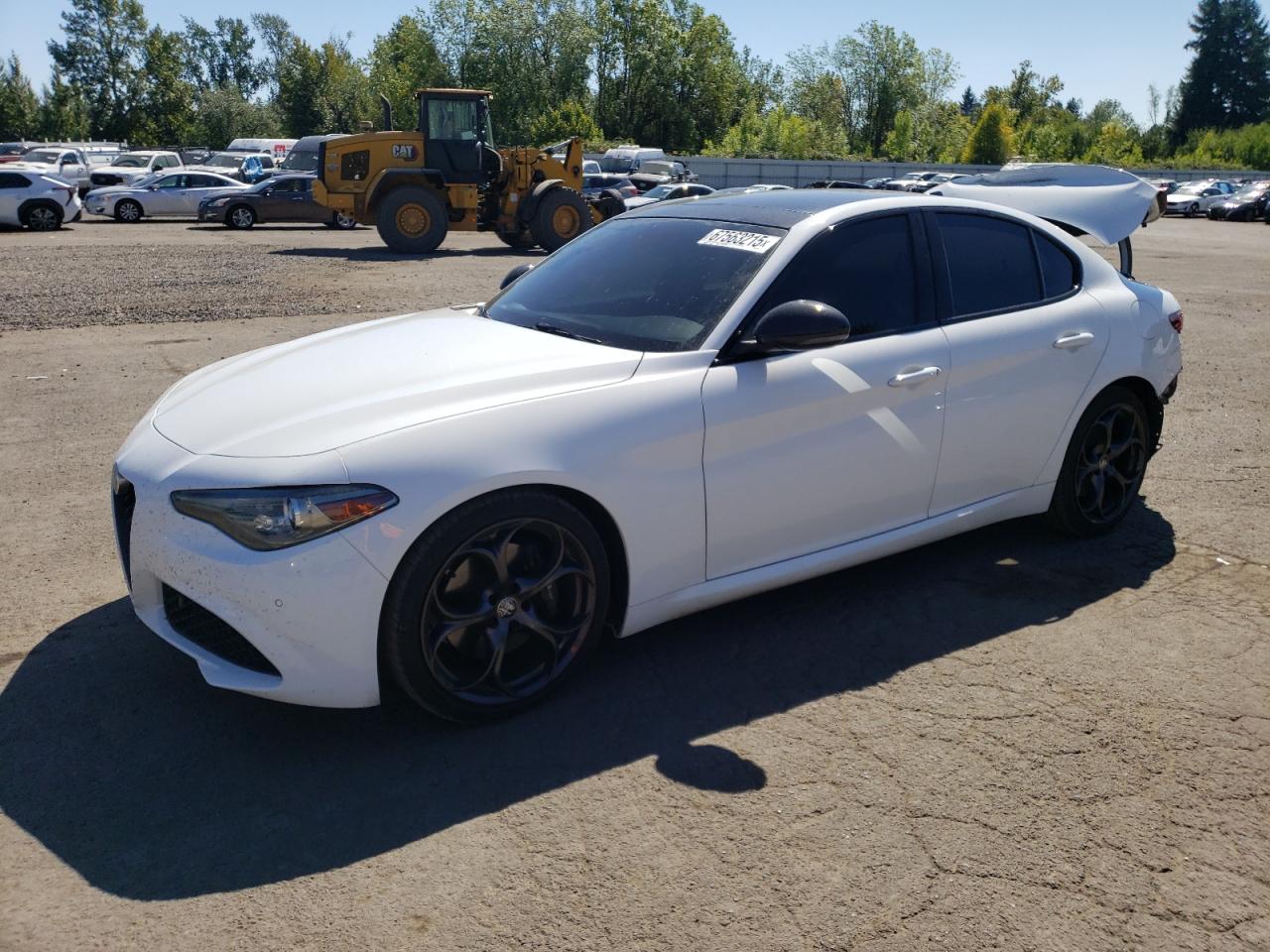 2019 Alfa romeo Giulia
