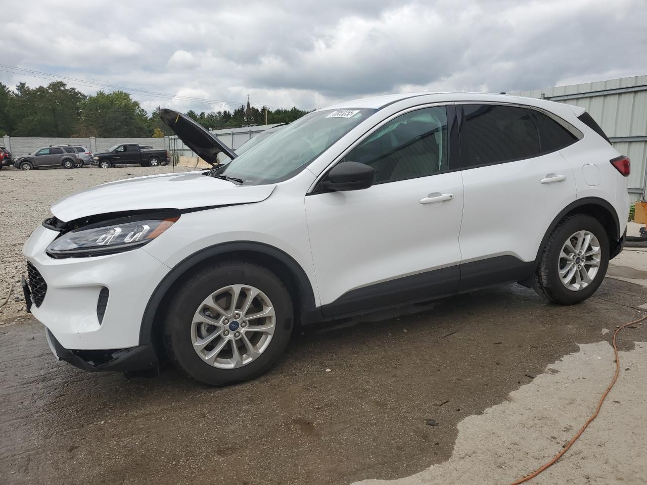 2022 Ford Escape se SE