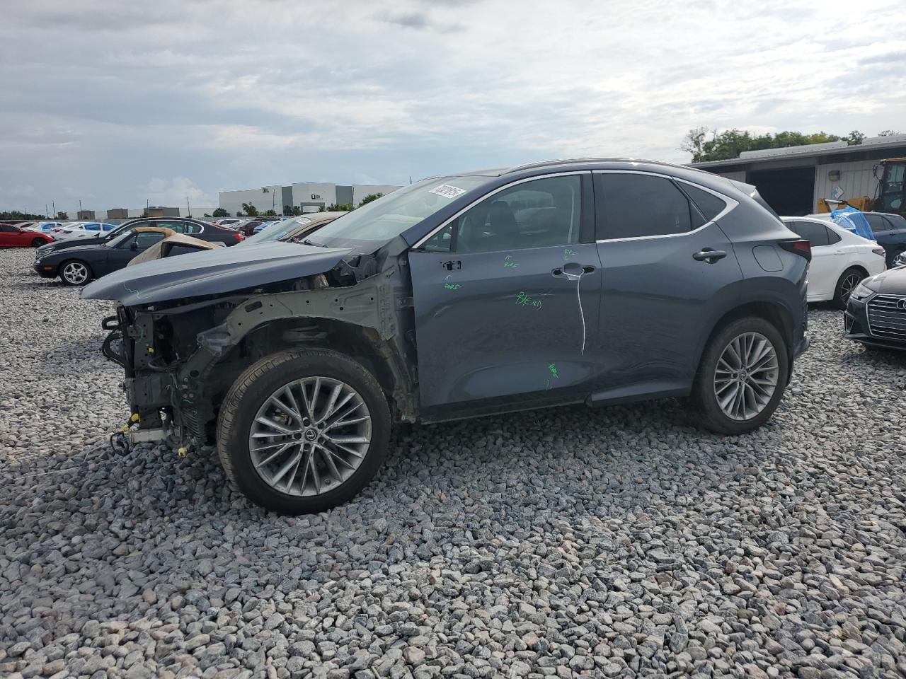 2023 Lexus Nx 350h 350H
