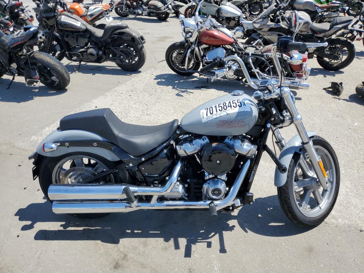 2024 Harley-davidson Fxst