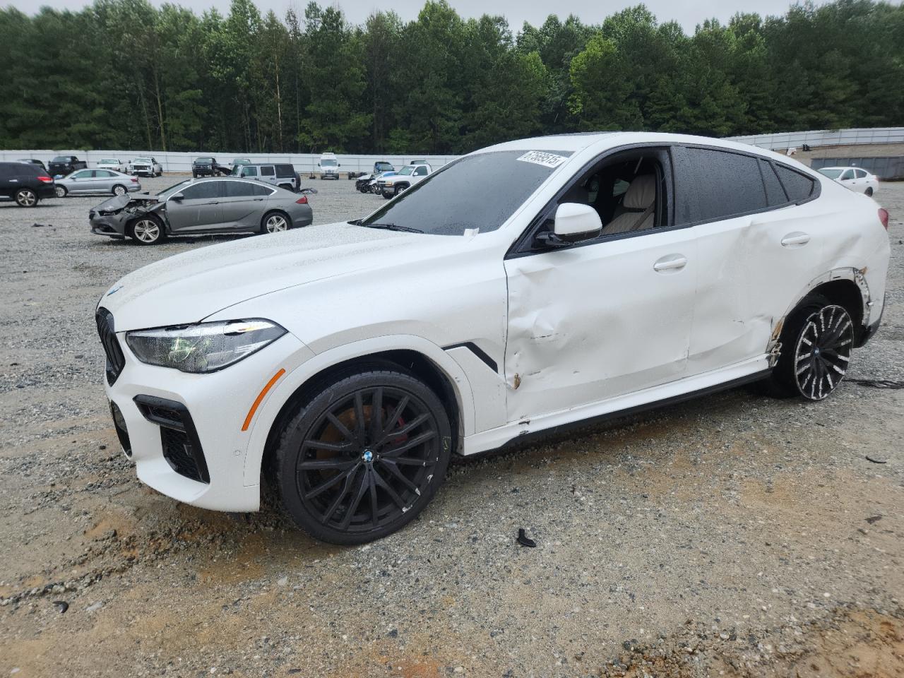 2022 BMW X6