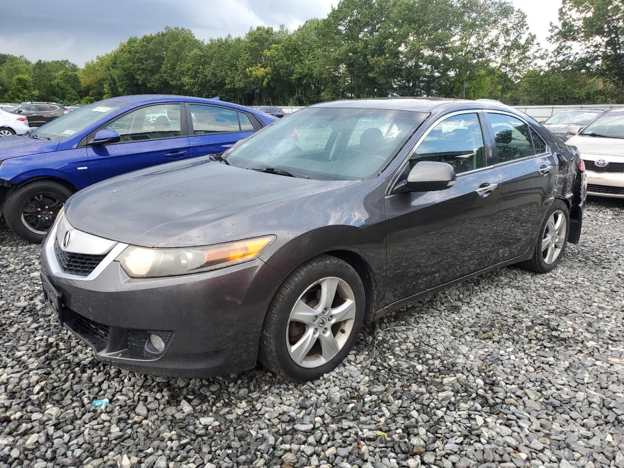 2010 Acura Tsx