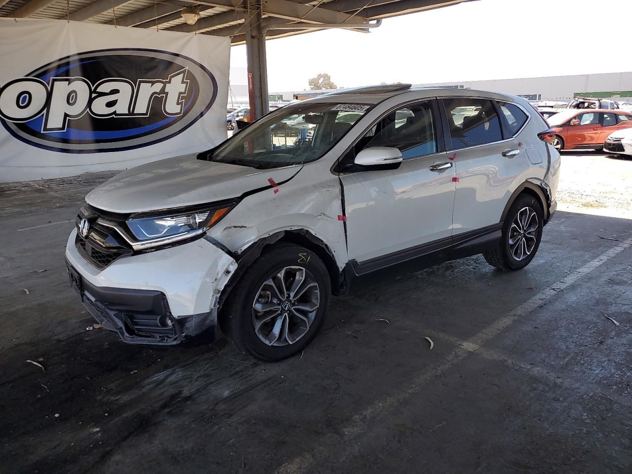 2022 Honda Cr-v exl EXL